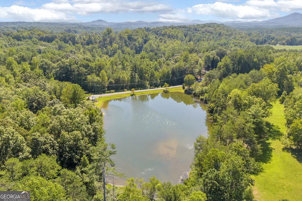 445 Skyview CIR Clarkesville, GA 30523