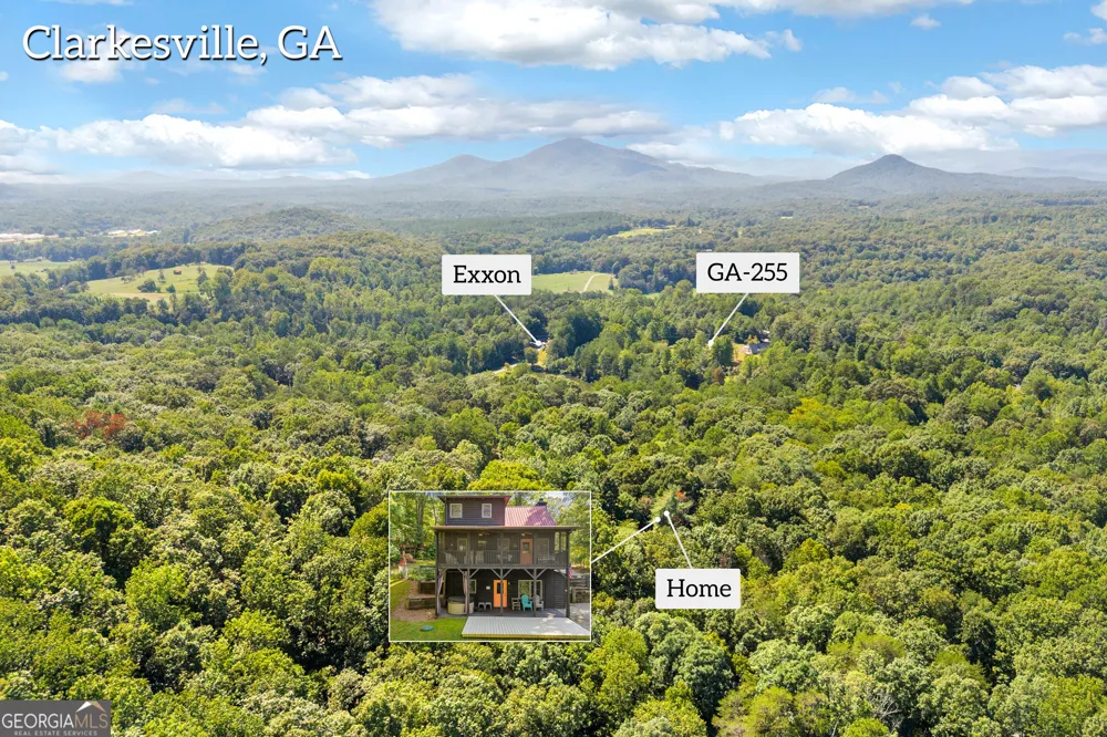 445 Skyview CIR Clarkesville, GA 30523