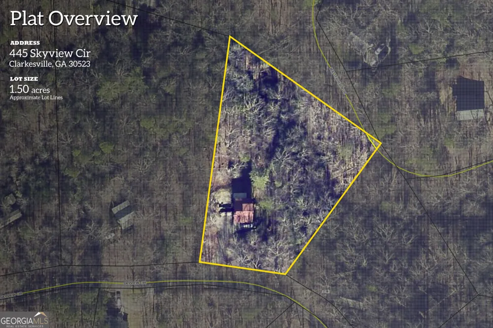445 Skyview CIR Clarkesville, GA 30523