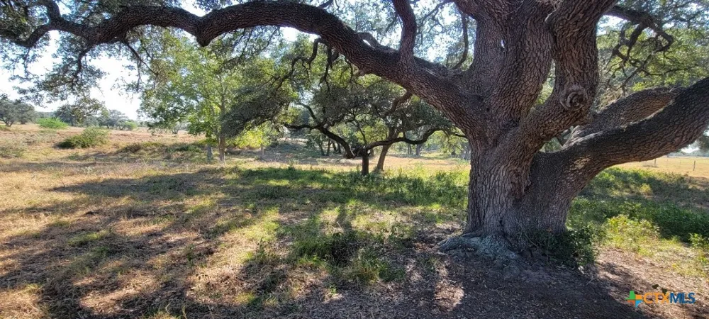 1167 County Road 380 Hallettsville, TX 77964