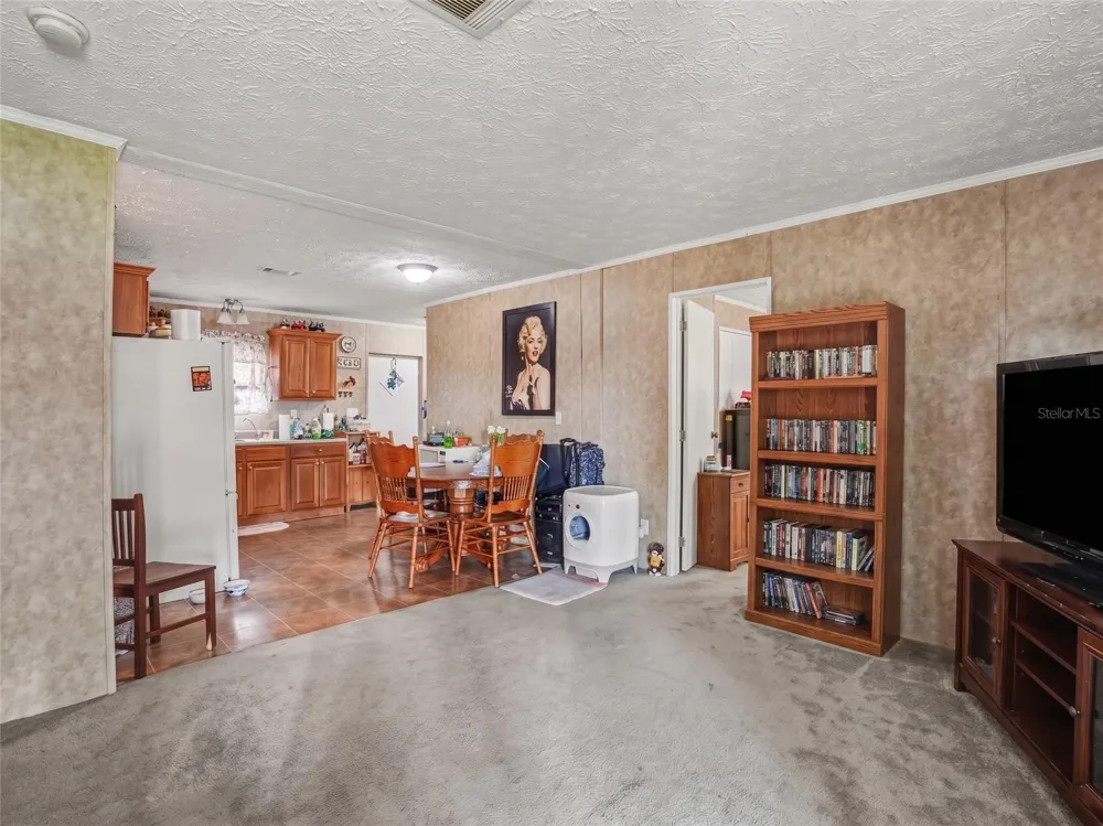 11121 LITHIA PINECREST ROAD Lithia, FL 33547