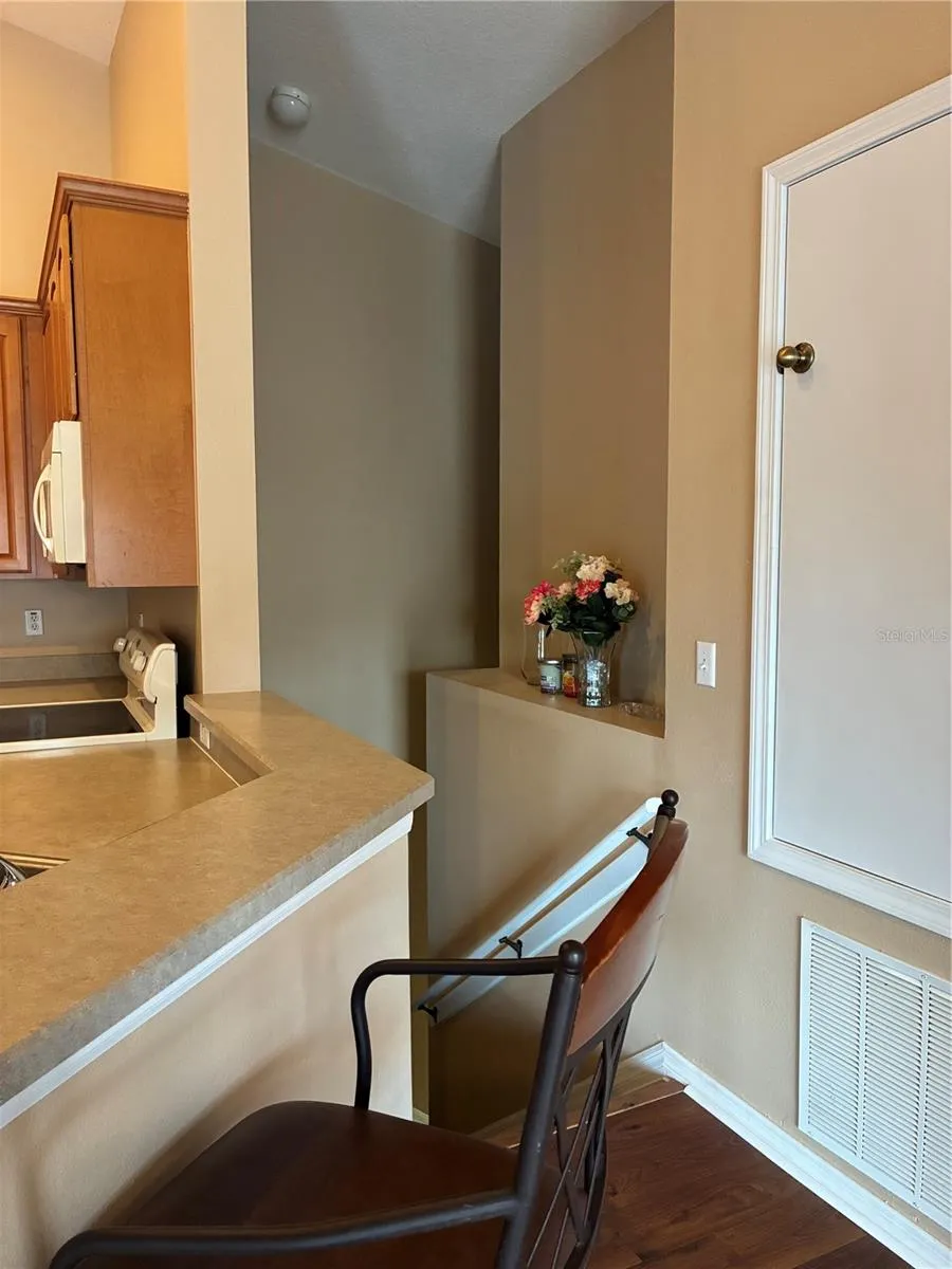 27825 PLEASURE RIDE LOOP Wesley Chapel, FL 33544