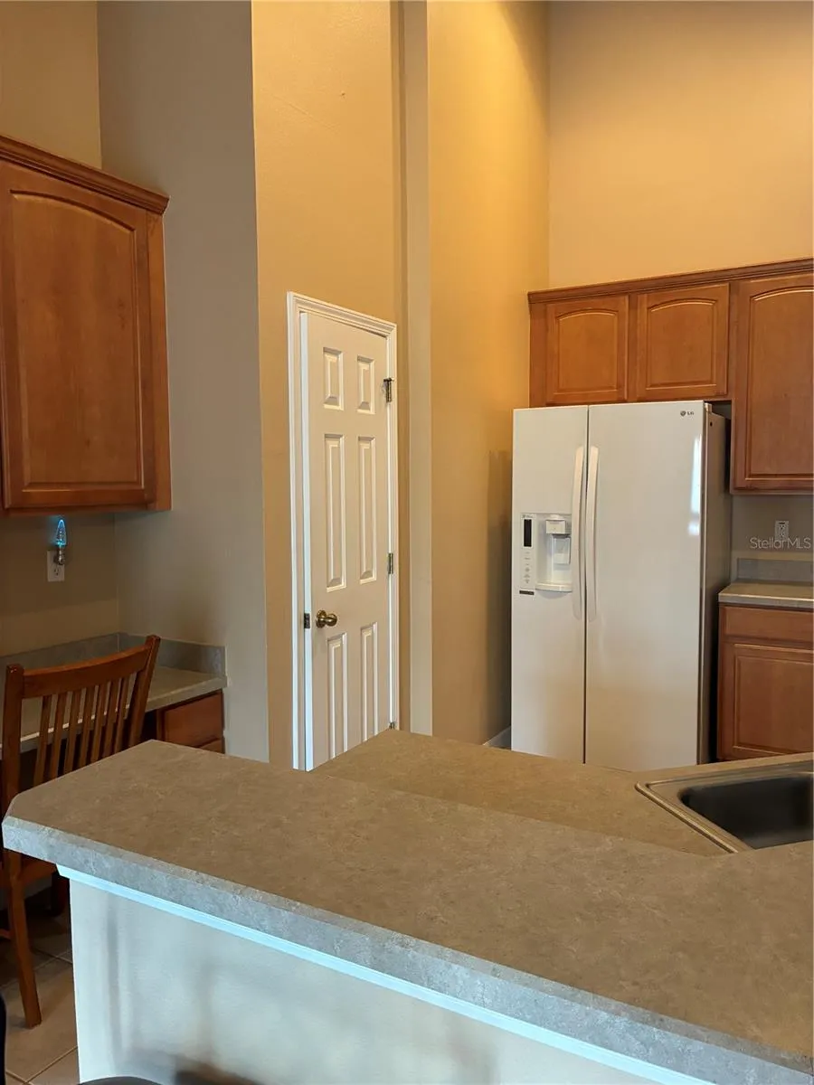 27825 PLEASURE RIDE LOOP Wesley Chapel, FL 33544