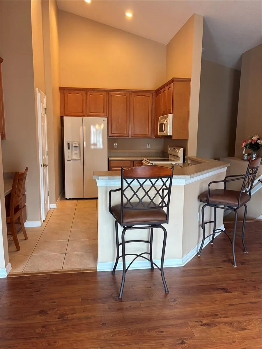 27825 PLEASURE RIDE LOOP Wesley Chapel, FL 33544