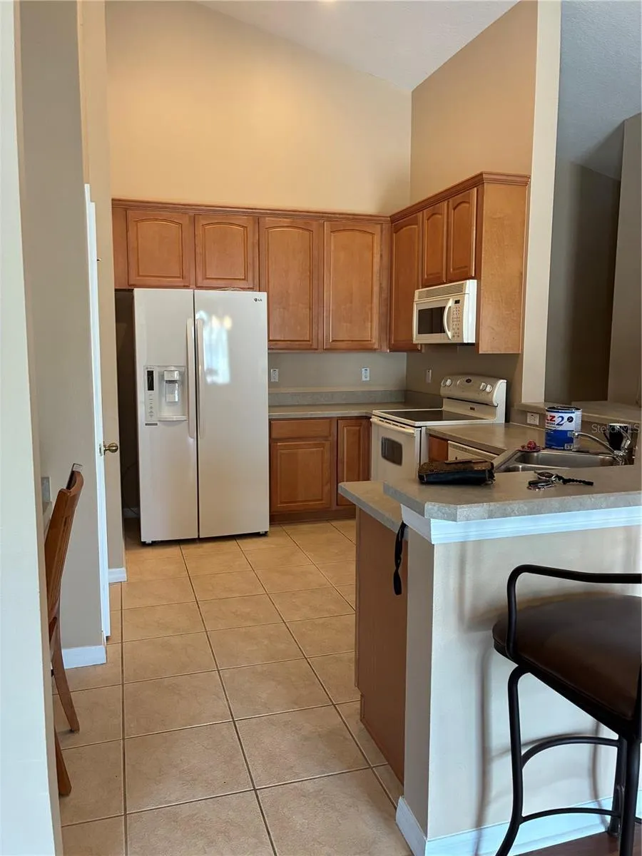 27825 PLEASURE RIDE LOOP Wesley Chapel, FL 33544
