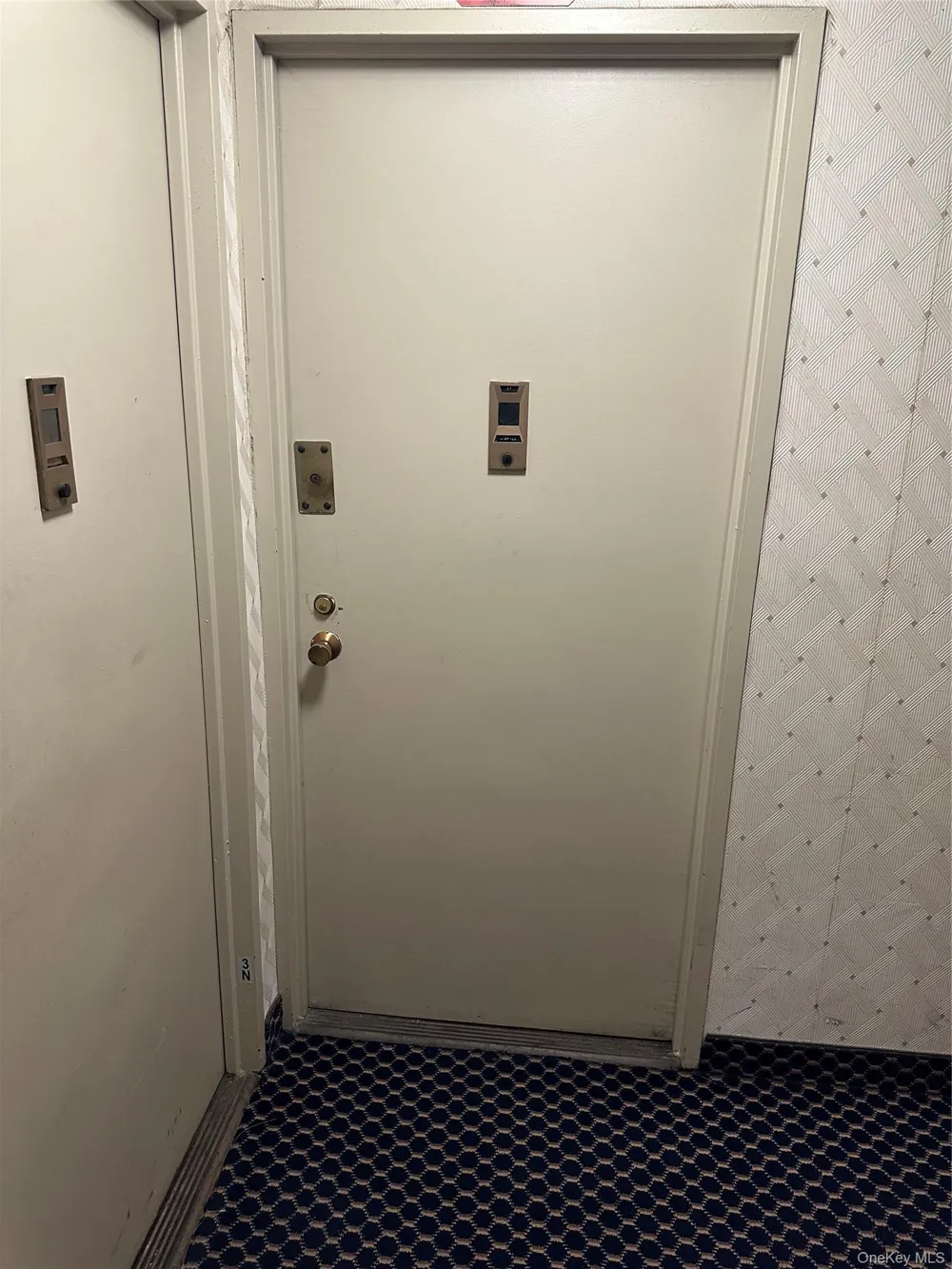 3215 H AVENUE #3p Brooklyn, NY 11210