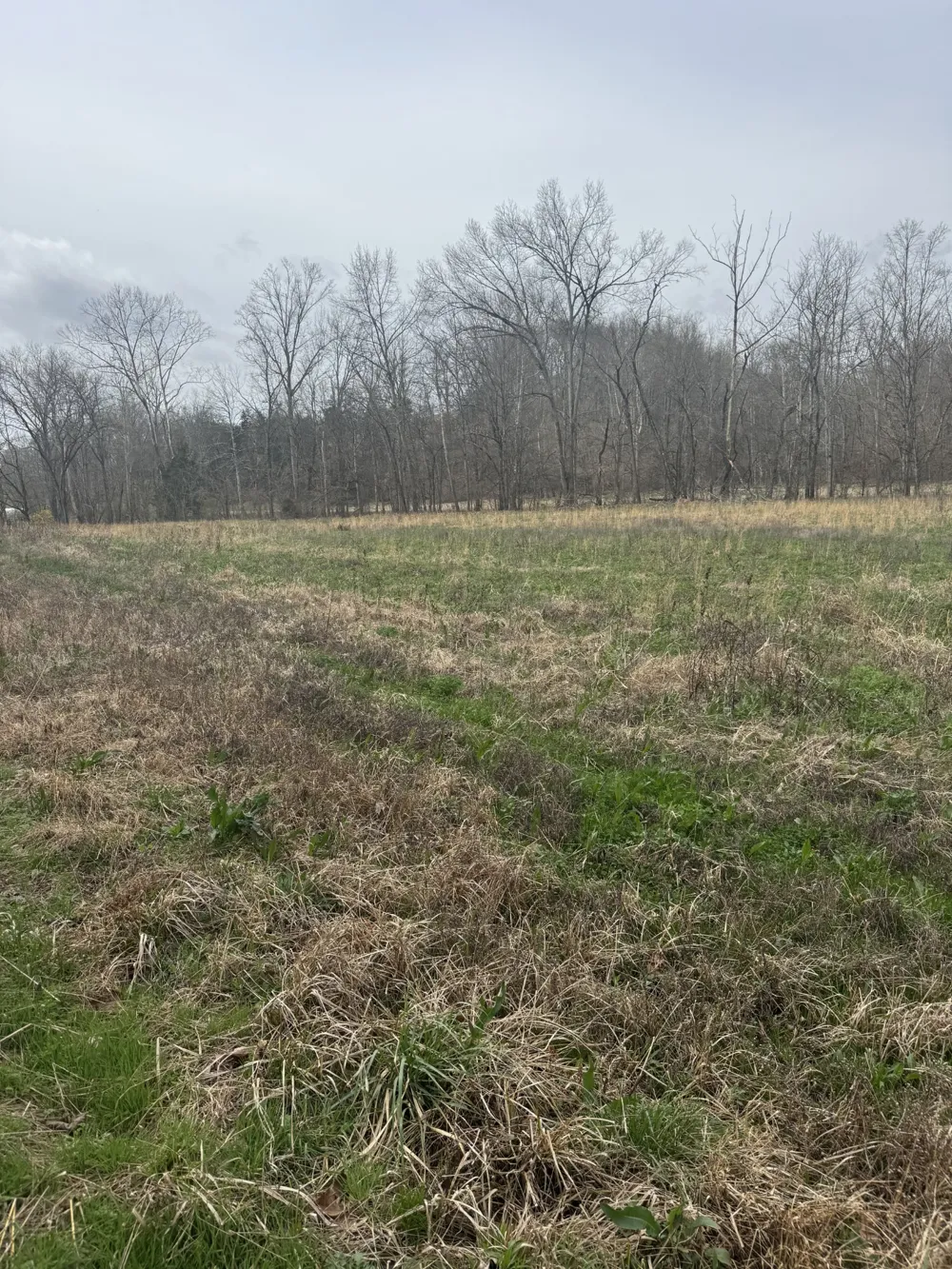 1234 Puncheon Creek Road Lafayette, TN 37083