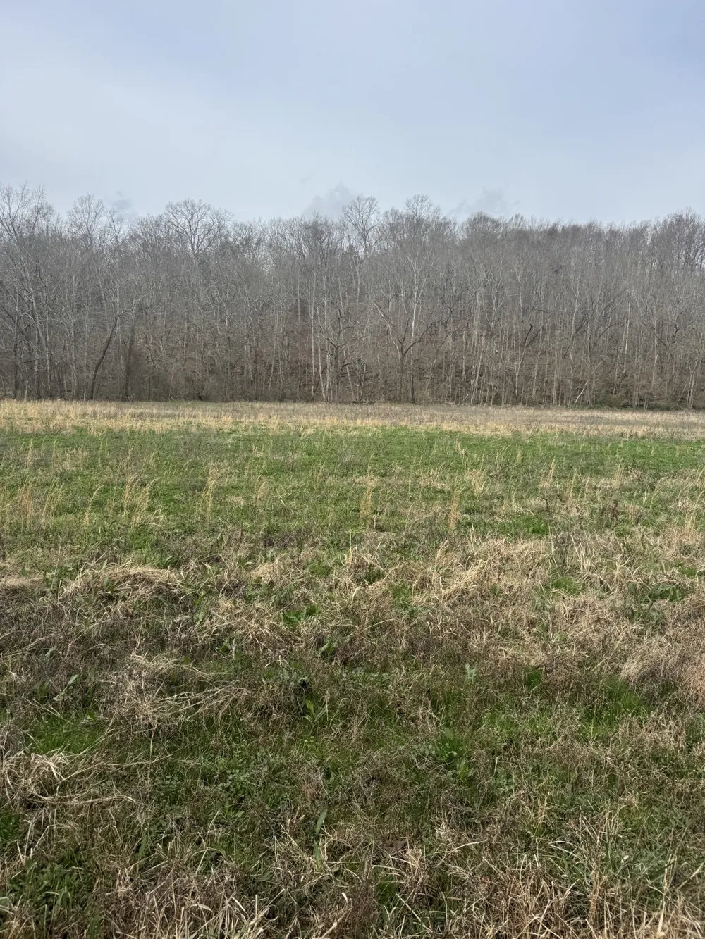 1234 Puncheon Creek Road Lafayette, TN 37083