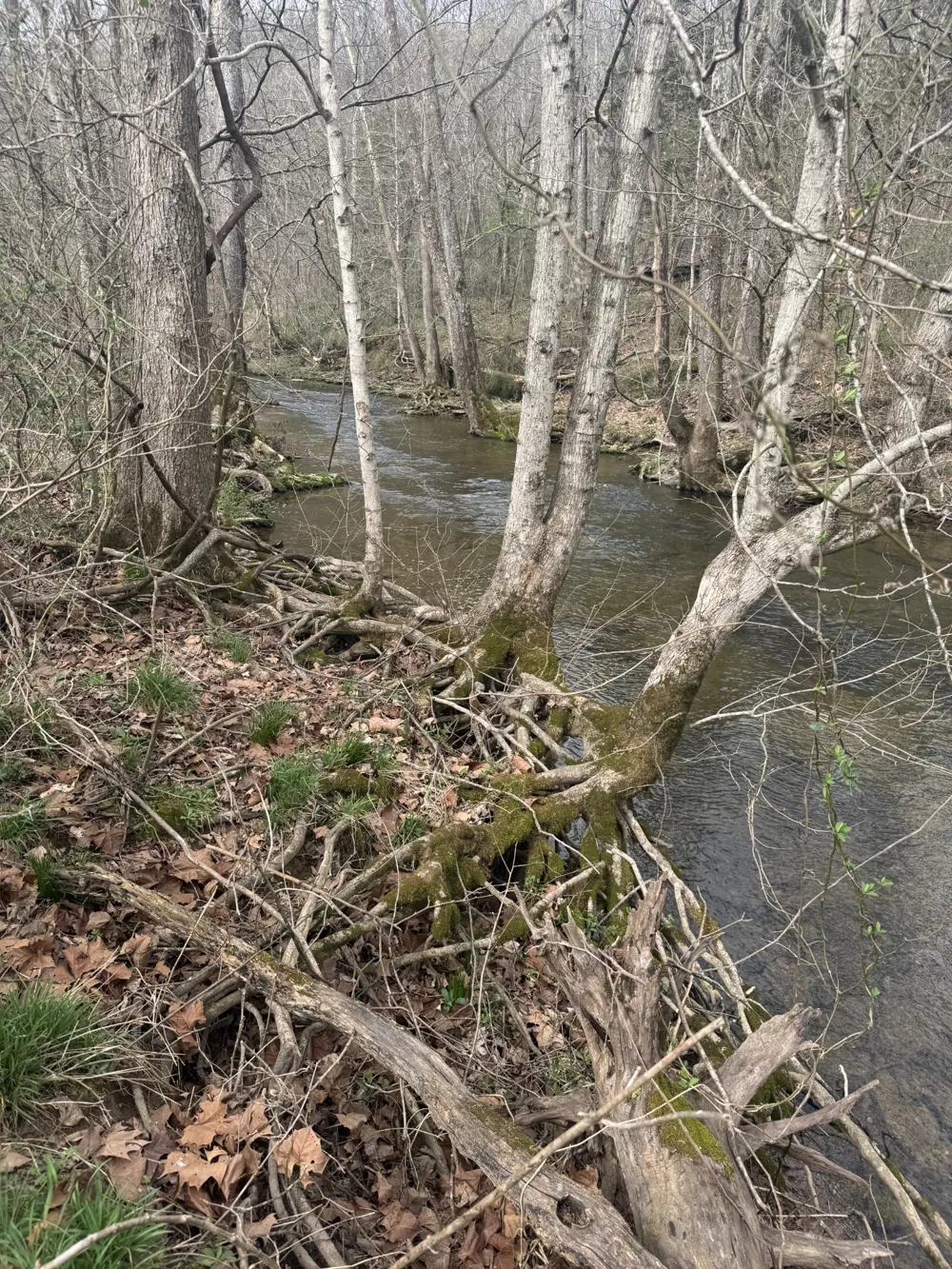 1234 Puncheon Creek Road Lafayette, TN 37083