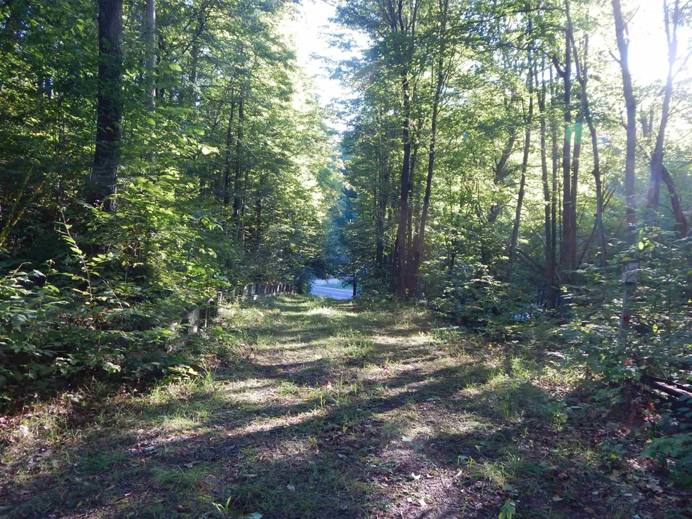 2247 Adams Road Jordan Township, MI 49727