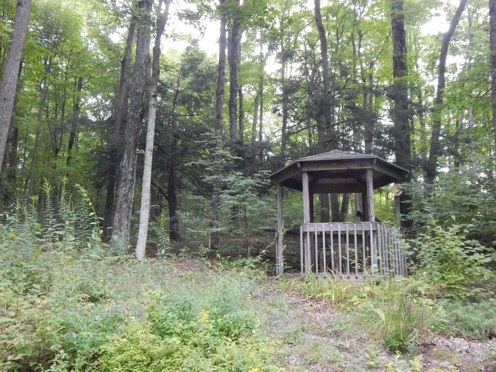 2247 Adams Road Jordan Township, MI 49727