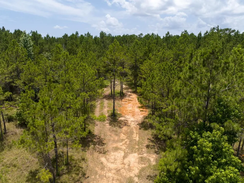 4 Benny Griffin Road Dallardsville, TX 77351