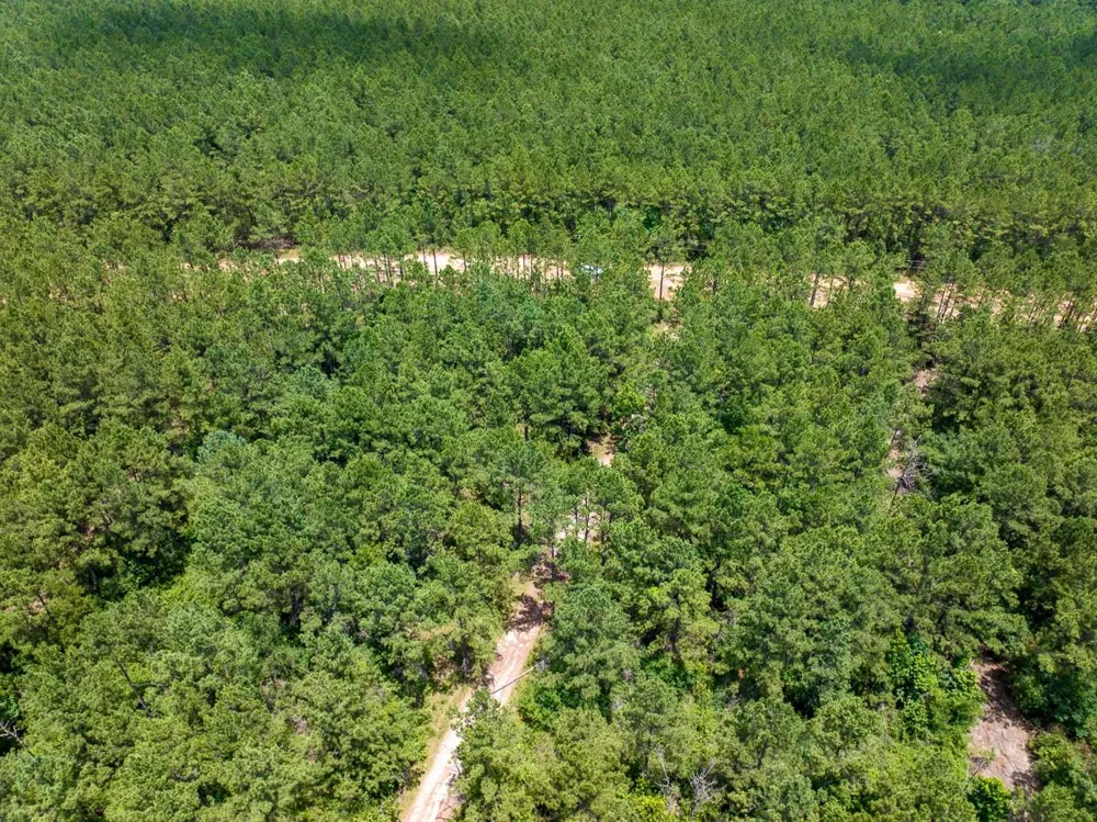 4 Benny Griffin Road Dallardsville, TX 77351