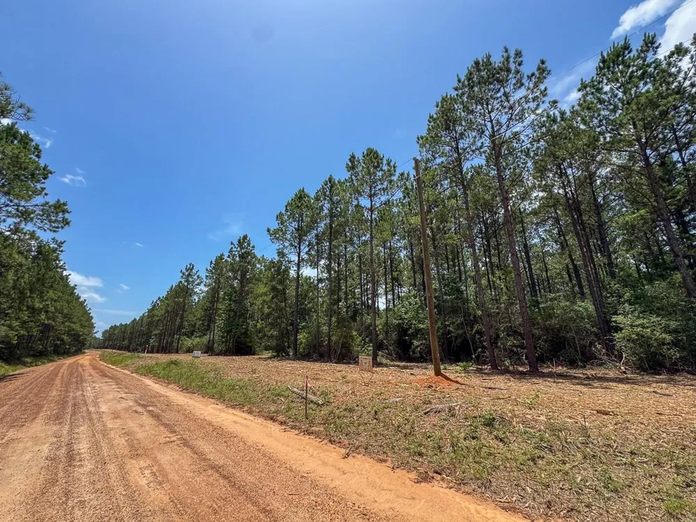 4 Benny Griffin Road Dallardsville, TX 77351