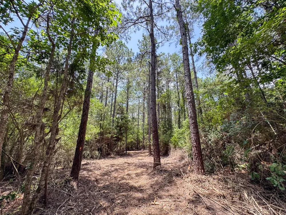 4 Benny Griffin Road Dallardsville, TX 77351