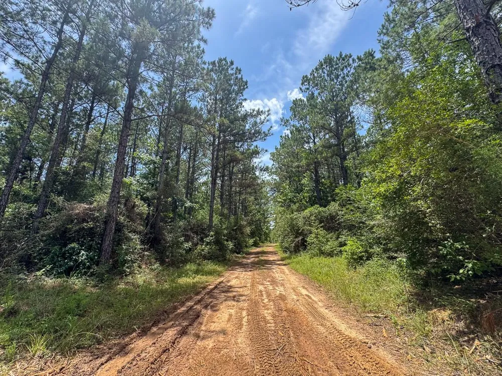 4 Benny Griffin Road Dallardsville, TX 77351