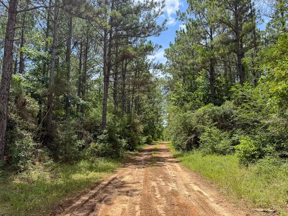 4 Benny Griffin Road Dallardsville, TX 77351