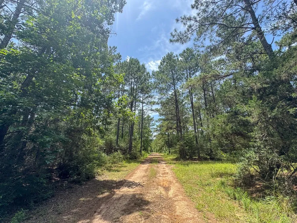 4 Benny Griffin Road Dallardsville, TX 77351