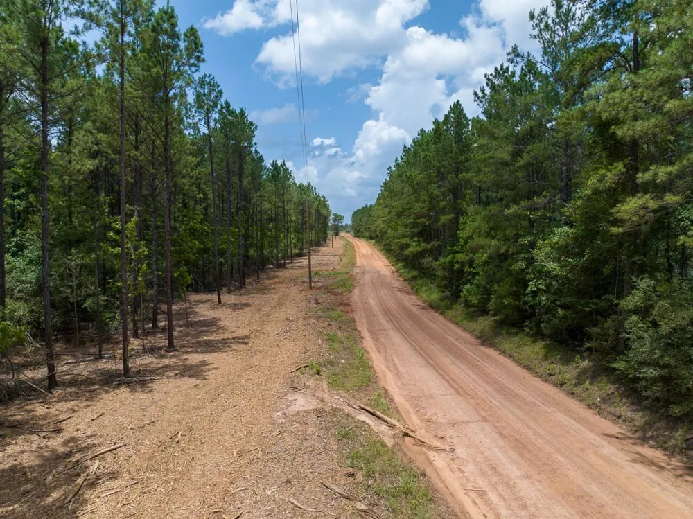 4 Benny Griffin Road Dallardsville, TX 77351