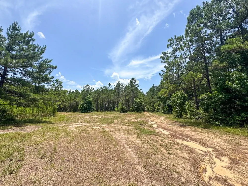 4 Benny Griffin Road Dallardsville, TX 77351