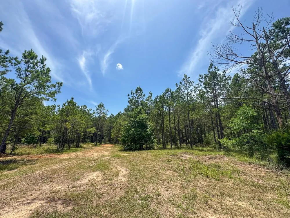 4 Benny Griffin Road Dallardsville, TX 77351