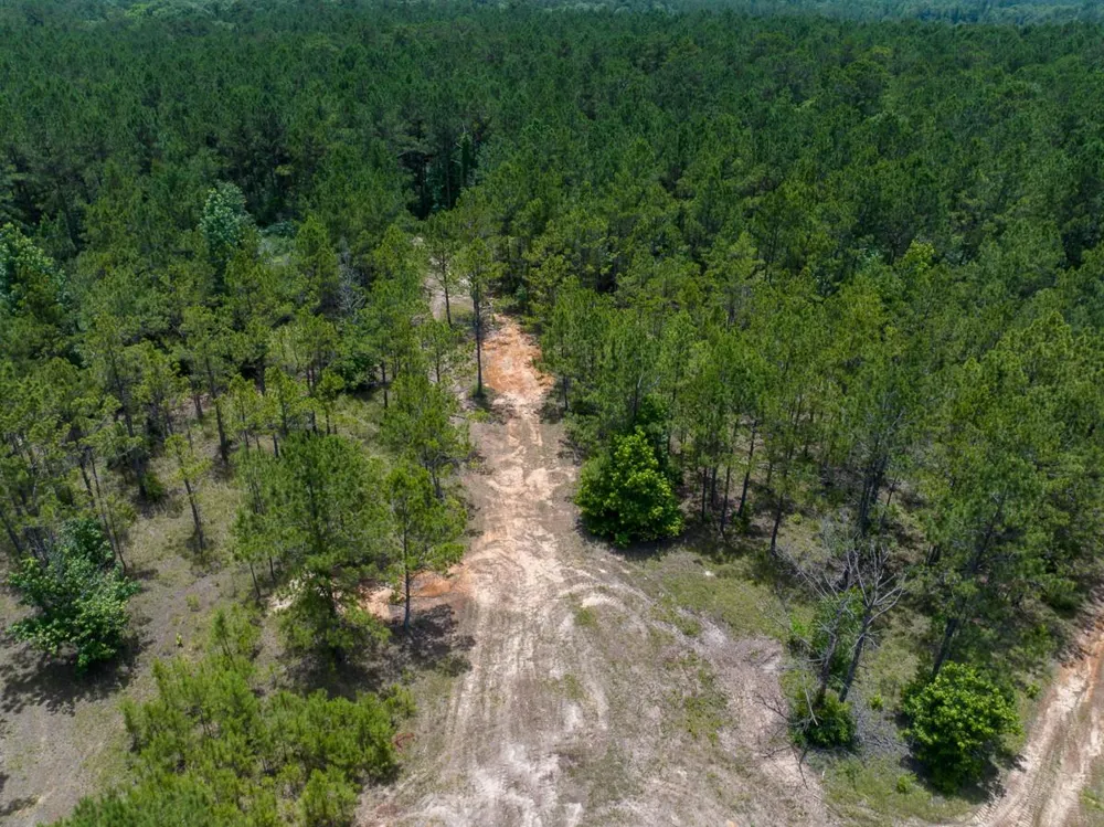 4 Benny Griffin Road Dallardsville, TX 77351