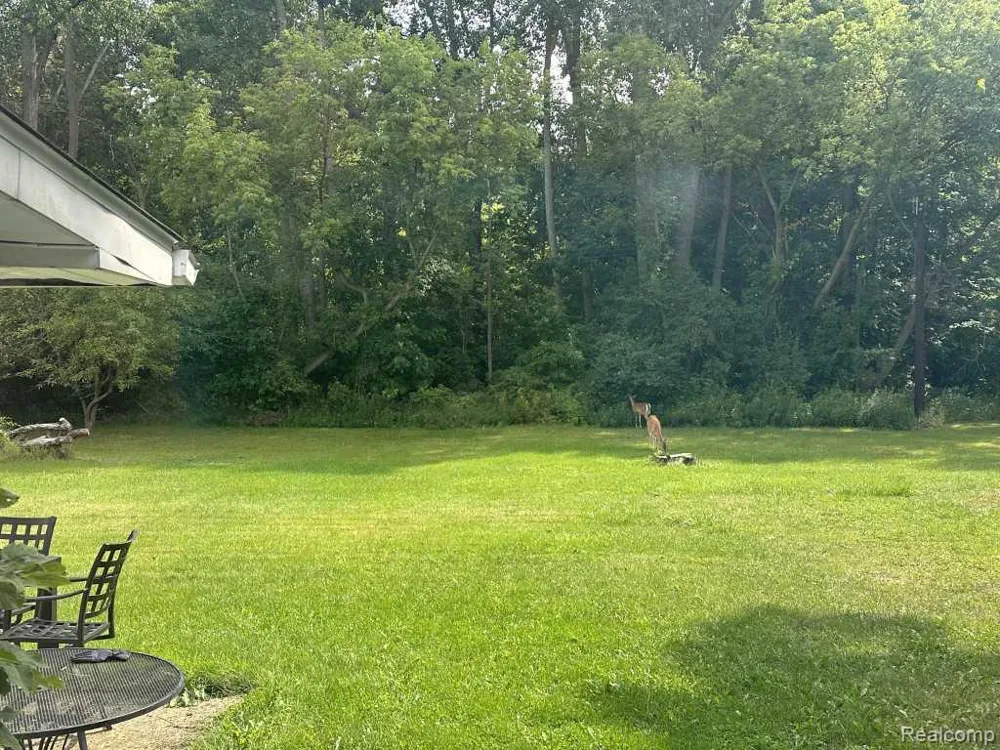 4856 Lum Road Attica Township, MI 48412