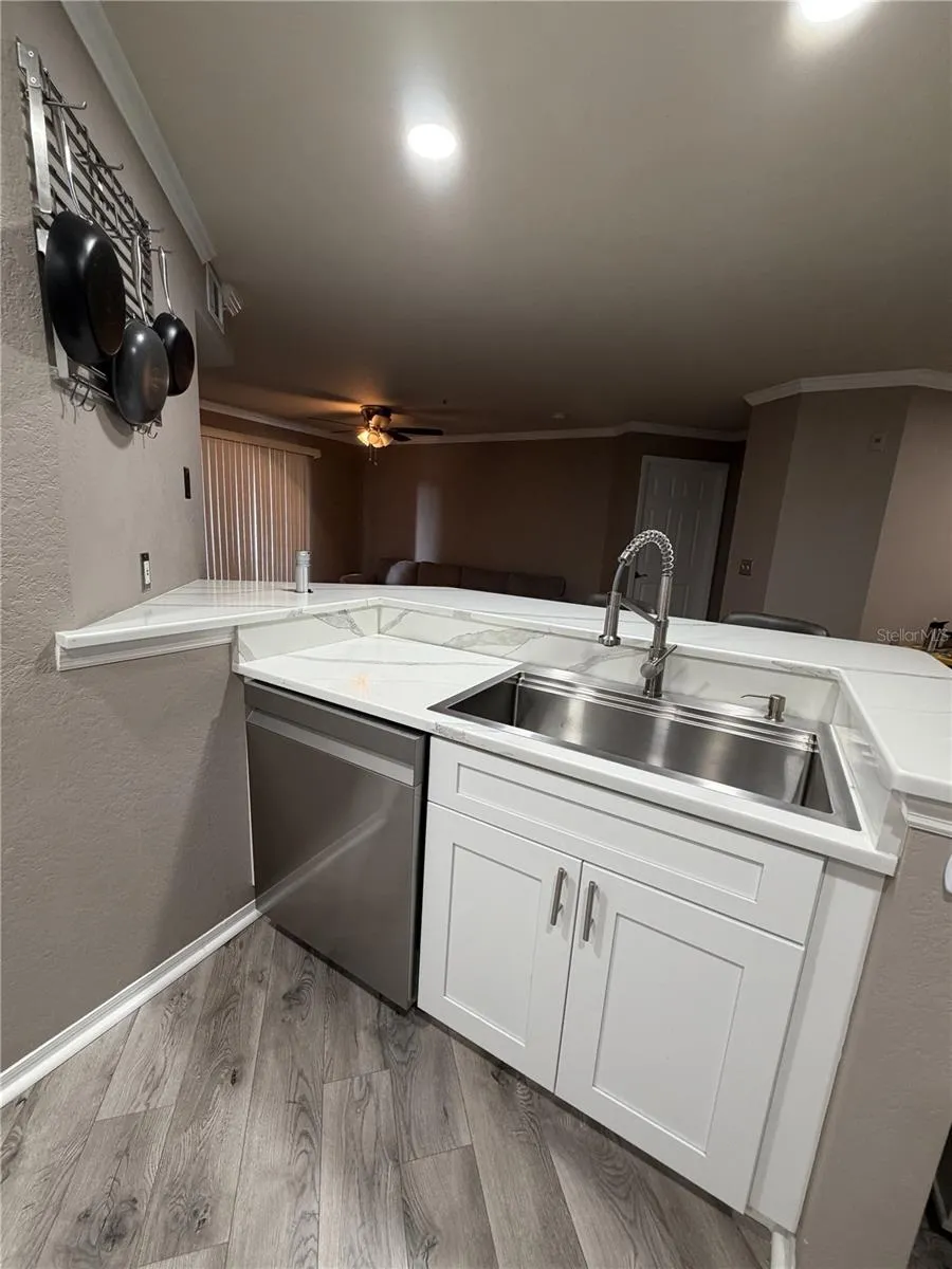 18101 PEREGRINES PERCH PLACE #4201 Lutz, FL 33558