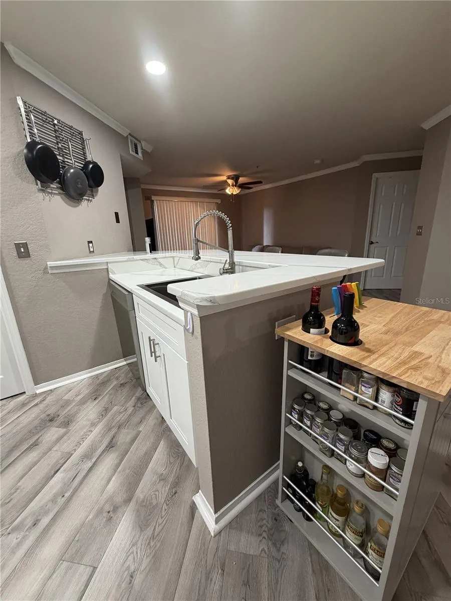 18101 PEREGRINES PERCH PLACE #4201 Lutz, FL 33558
