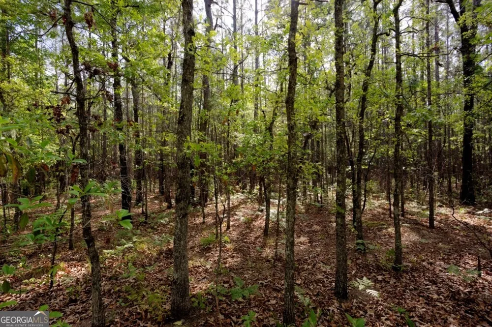 5391 Big Pine RD Garfield, GA 30425