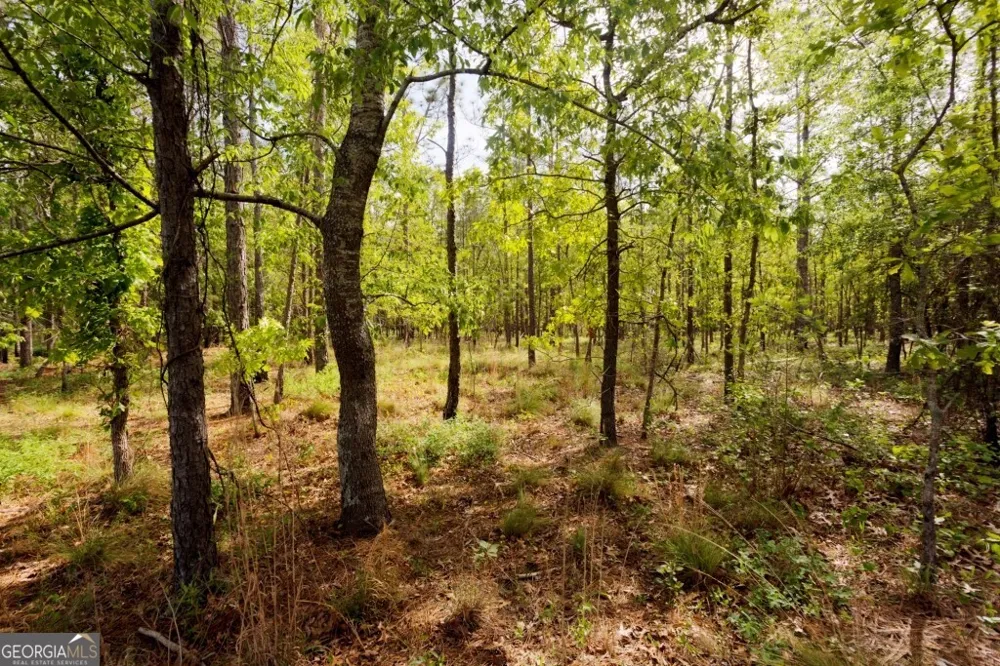 5391 Big Pine RD Garfield, GA 30425