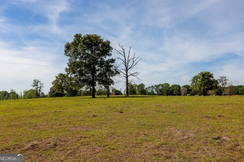 5391 Big Pine RD Garfield, GA 30425
