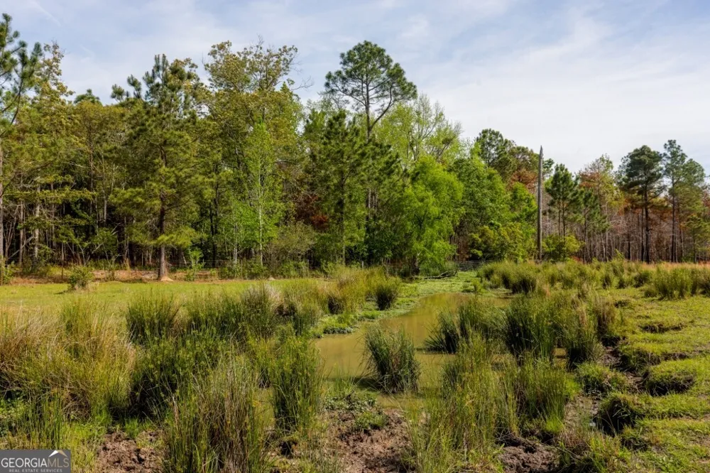 5391 Big Pine RD Garfield, GA 30425