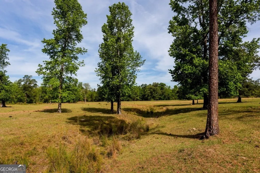 5391 Big Pine RD Garfield, GA 30425