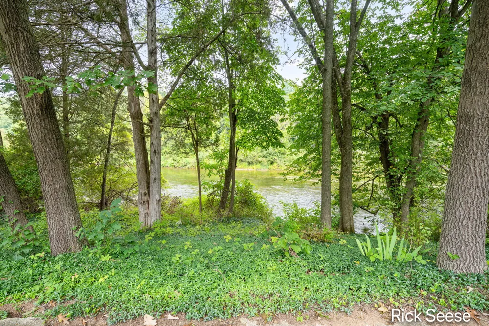 13535 Forest River Drive SE Lowell, MI 49331
