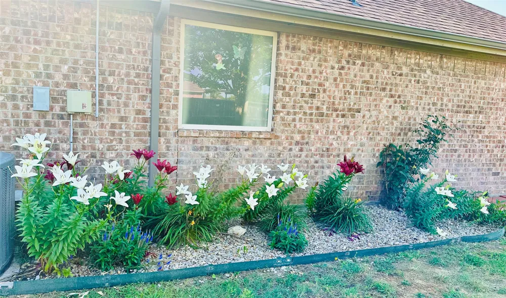 1236 Woodbridge Court Willow Park, TX 76087