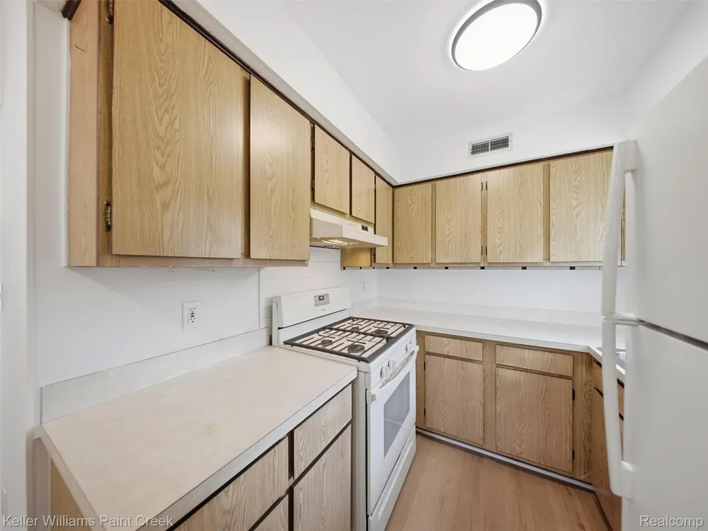 2908 Edna Jane Drive Auburn Hills City, MI 48326