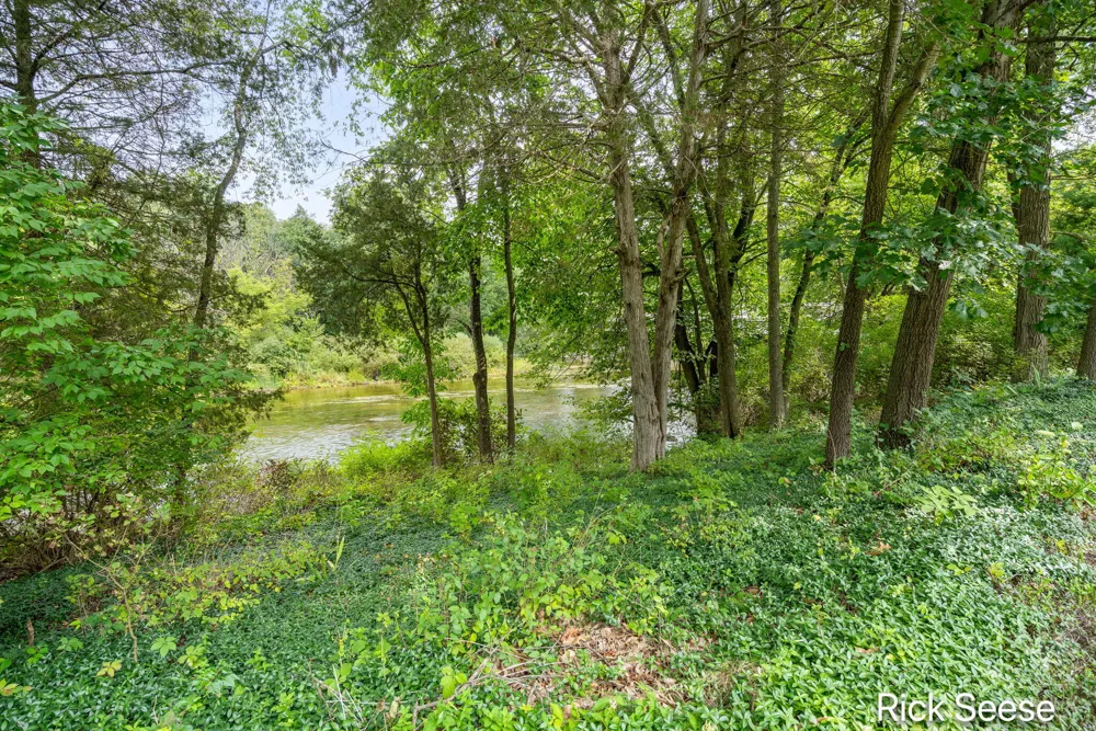 13535 Forest River Drive SE Vergennes Township, MI 49331