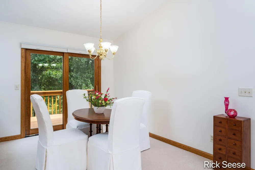 13535 Forest River Drive SE Vergennes Township, MI 49331