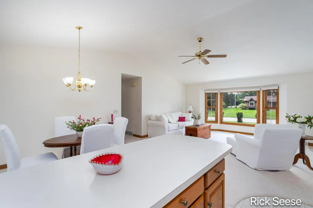 13535 Forest River Drive SE Vergennes Township, MI 49331