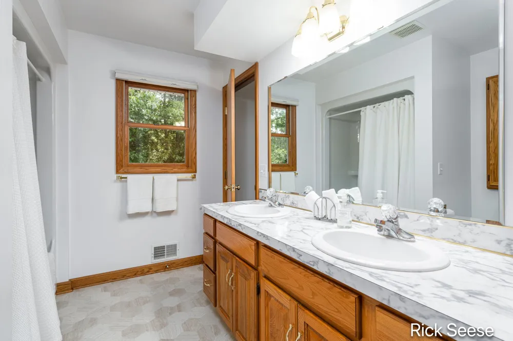 13535 Forest River Drive SE Vergennes Township, MI 49331