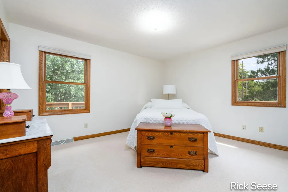 13535 Forest River Drive SE Vergennes Township, MI 49331