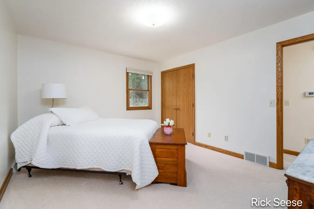 13535 Forest River Drive SE Vergennes Township, MI 49331