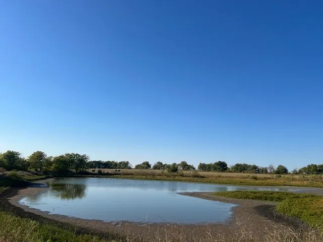 50 CR 3400 Pecan Gap, TX 75469