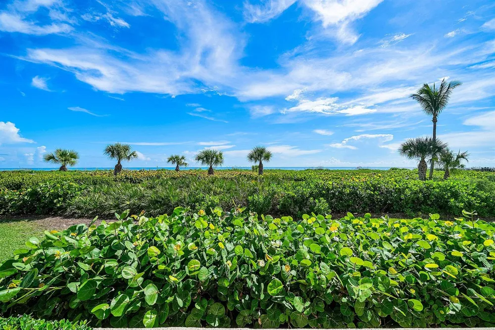 3001 SE Island Point Lane #12 Stuart, FL 34996