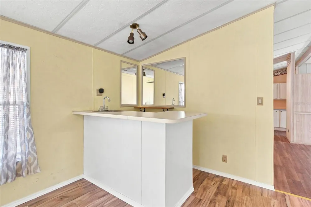 1875 STACEY DRIVE Mount Dora, FL 32757