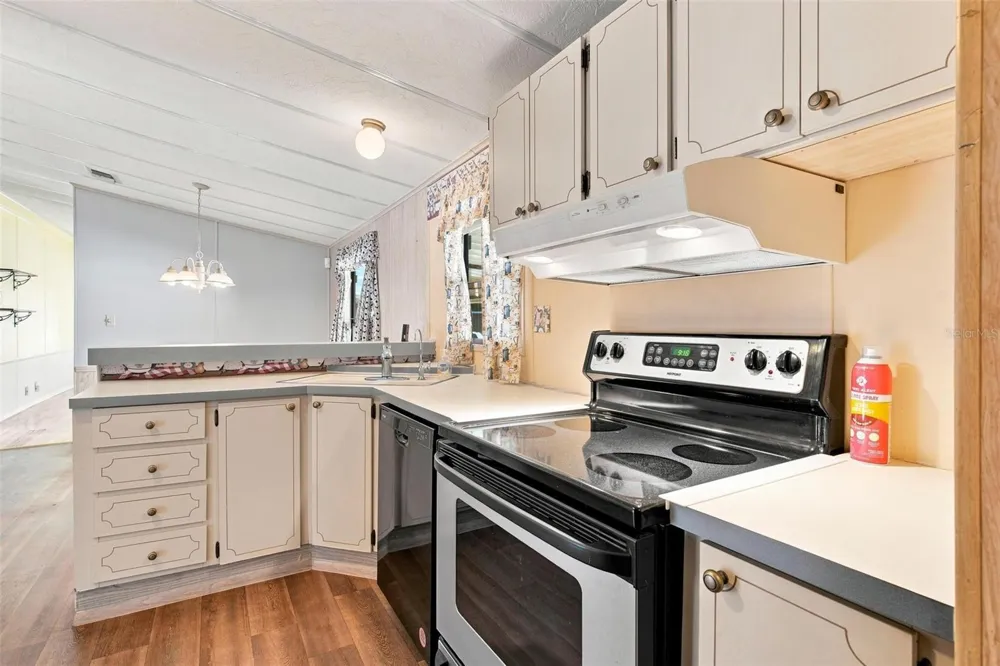 1875 STACEY DRIVE Mount Dora, FL 32757