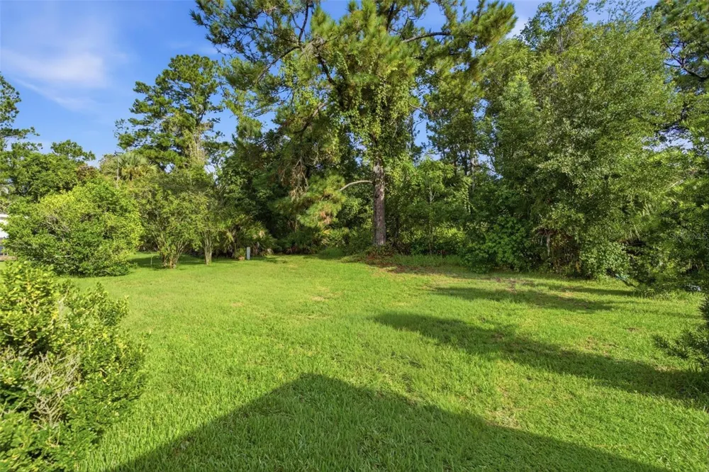 1875 STACEY DRIVE Mount Dora, FL 32757
