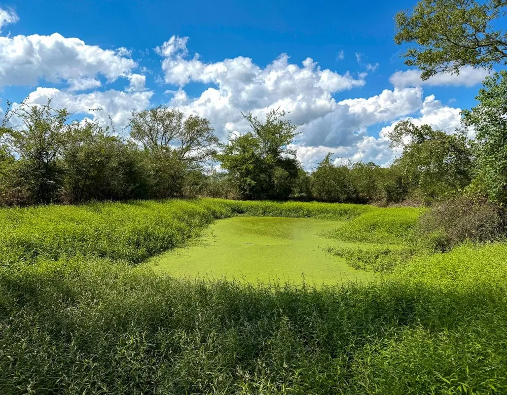 Cr 3620 Lovelady, TX 75851