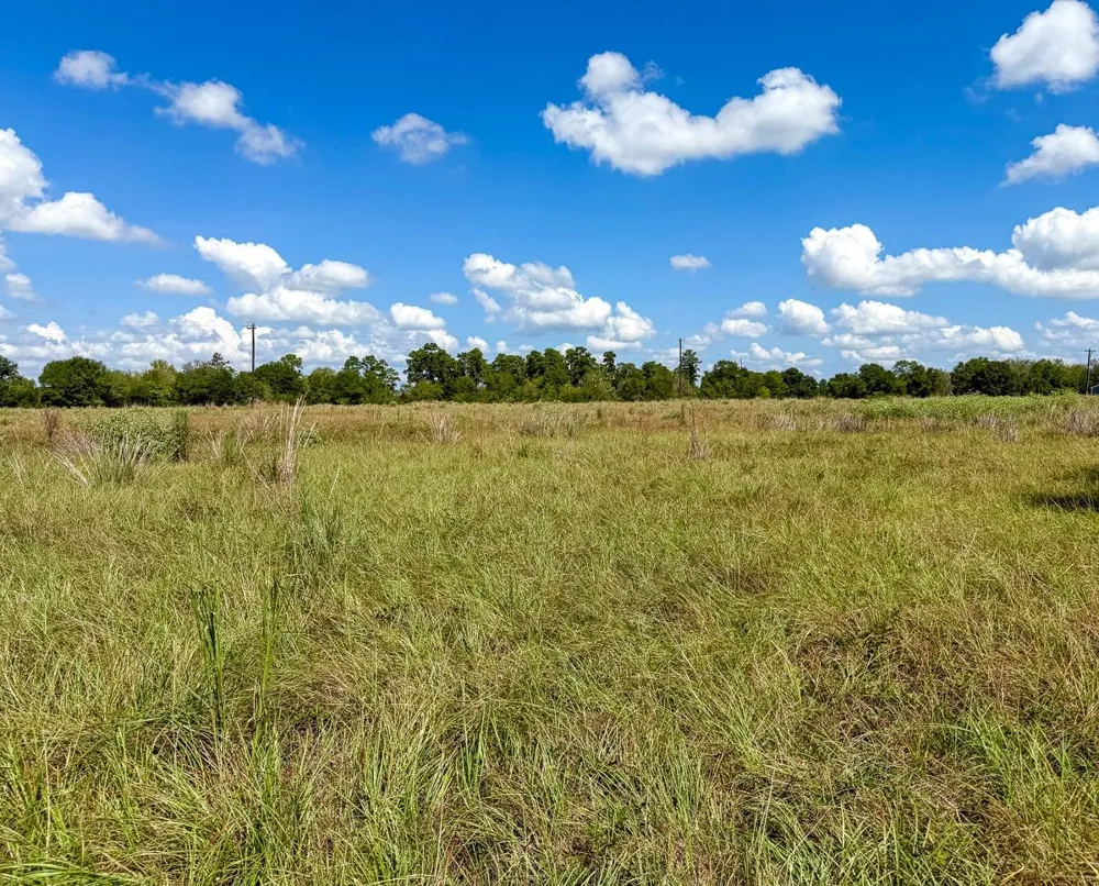 Cr 3620 Lovelady, TX 75851